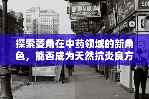 探索菱角在中药领域的新角色，能否成为天然抗炎良方？