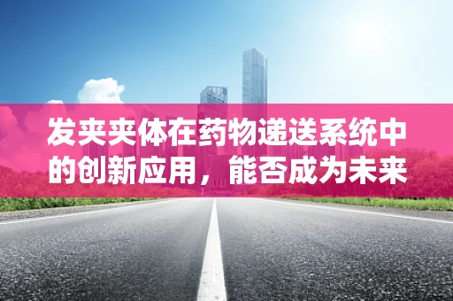 发夹夹体在药物递送系统中的创新应用，能否成为未来药剂研发的‘隐形推手’？