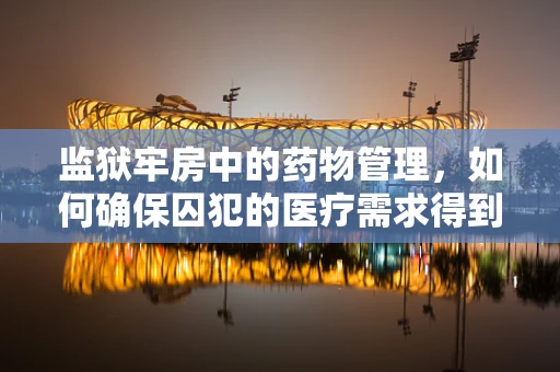 监狱牢房中的药物管理，如何确保囚犯的医疗需求得到妥善满足？