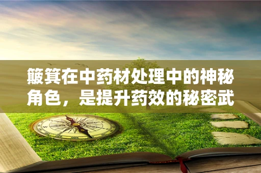 簸箕在中药材处理中的神秘角色，是提升药效的秘密武器吗？