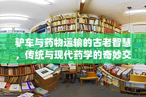 驴车与药物运输的古老智慧，传统与现代药学的奇妙交汇