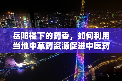 岳阳楼下的药香，如何利用当地中草药资源促进中医药创新？