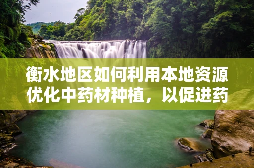 衡水地区如何利用本地资源优化中药材种植，以促进药剂研发？