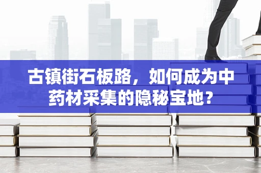 古镇街石板路，如何成为中药材采集的隐秘宝地？