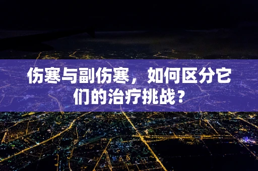 伤寒与副伤寒，如何区分它们的治疗挑战？