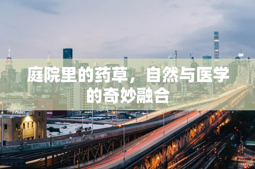 庭院里的药草，自然与医学的奇妙融合