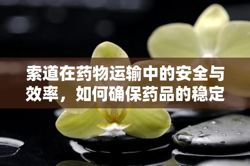 索道在药物运输中的安全与效率，如何确保药品的稳定送达？