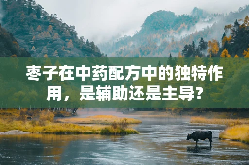 枣子在中药配方中的独特作用，是辅助还是主导？