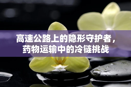 高速公路上的隐形守护者，药物运输中的冷链挑战