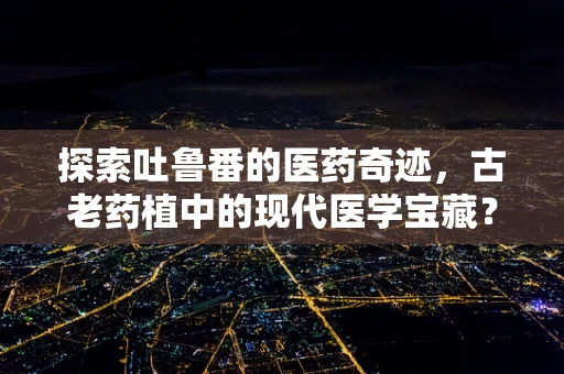 探索吐鲁番的医药奇迹，古老药植中的现代医学宝藏？