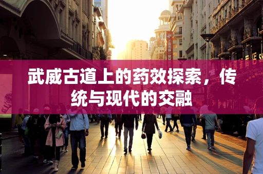 武威古道上的药效探索，传统与现代的交融