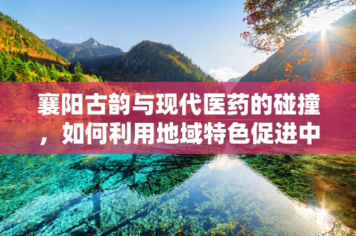 襄阳古韵与现代医药的碰撞，如何利用地域特色促进中药研发？