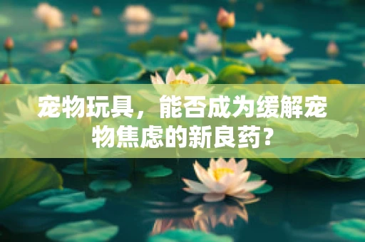 宠物玩具，能否成为缓解宠物焦虑的新良药？