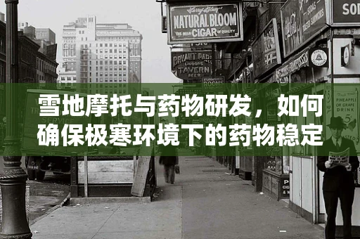 雪地摩托与药物研发，如何确保极寒环境下的药物稳定性？