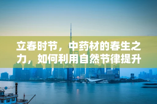 立春时节，中药材的春生之力，如何利用自然节律提升药效？