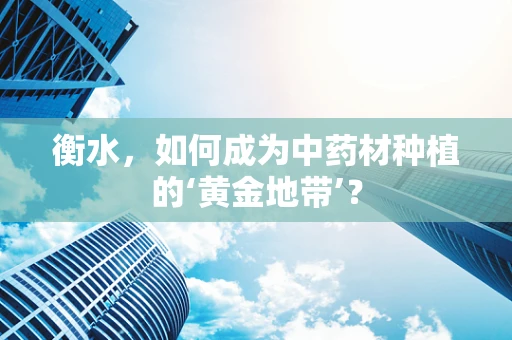 衡水，如何成为中药材种植的‘黄金地带’？
