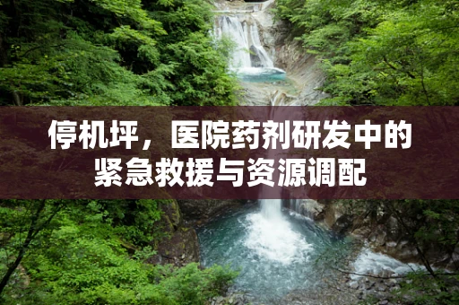 停机坪，医院药剂研发中的紧急救援与资源调配