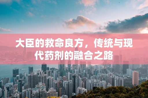 大臣的救命良方，传统与现代药剂的融合之路