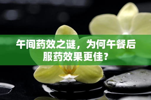 午间药效之谜，为何午餐后服药效果更佳？