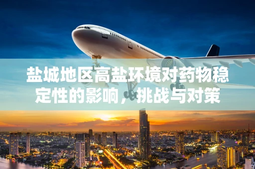 盐城地区高盐环境对药物稳定性的影响，挑战与对策