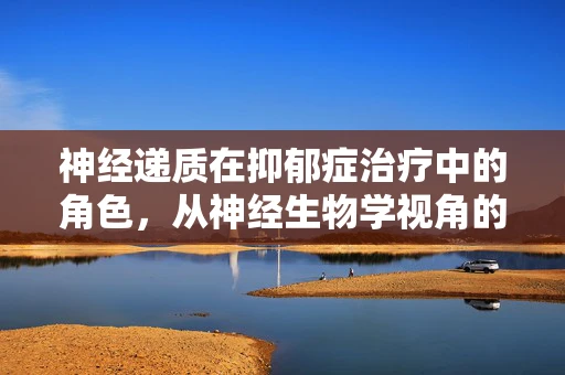 神经递质在抑郁症治疗中的角色，从神经生物学视角的探索
