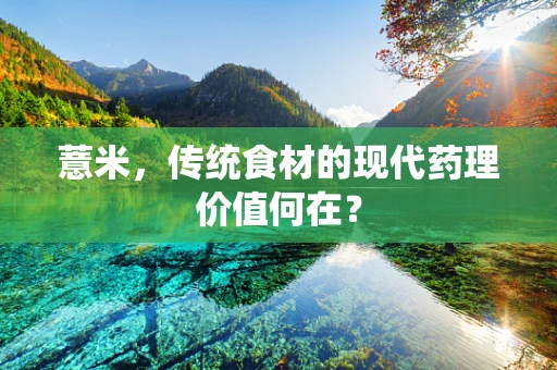 薏米，传统食材的现代药理价值何在？