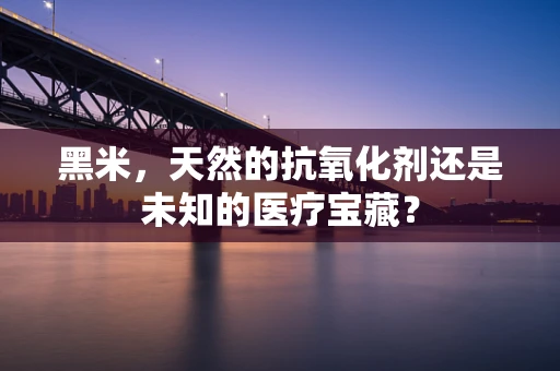 黑米，天然的抗氧化剂还是未知的医疗宝藏？