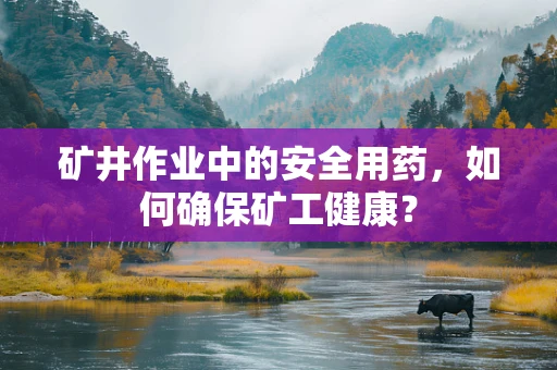 矿井作业中的安全用药，如何确保矿工健康？